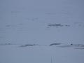 Norway 052